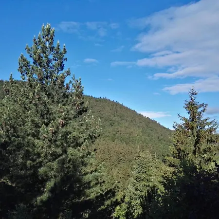 Waldblick Apartment Winterberg