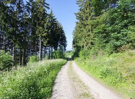 Ferienwohnung Waldblick 레네슈타트