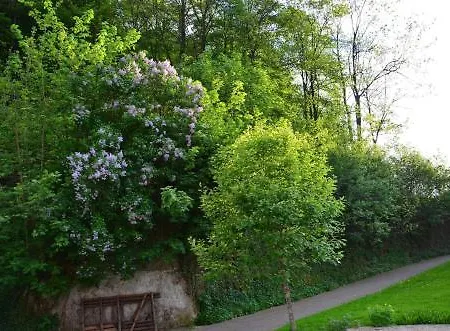 Ferienwohnung Waldblick 아파트 *