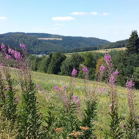 Apartment Waldblick Winterberg